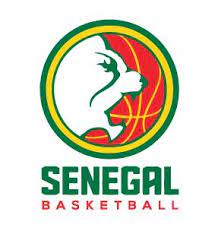 Equipe nationale féminine de basket
