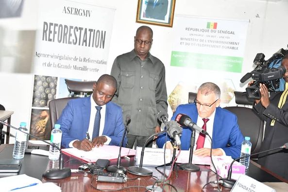 Signature de convention entre l&rsquo;Agence sénégalaise de la Reforestation et de la Grande Muraille verte et la Fondation OCP.