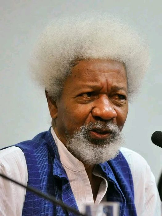 Wolé Sonynka rejoint une liste de pétition d’une centaine d’intellectuels africains qui demandent à Macky Sall « de revenir à la raison »