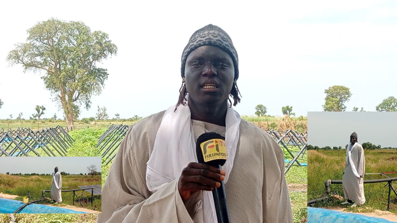 Koungheul – Maka Yop : Cheikh Moustapha Ndiaye prépare une récolte record d’arachide, de maïs et de piment