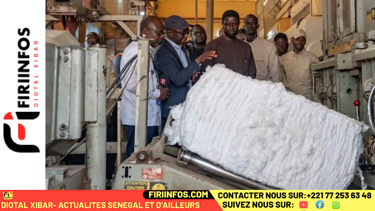 Vélingara : le Chef de l’État met en lumière le rôle stratégique de la filière cotonnière