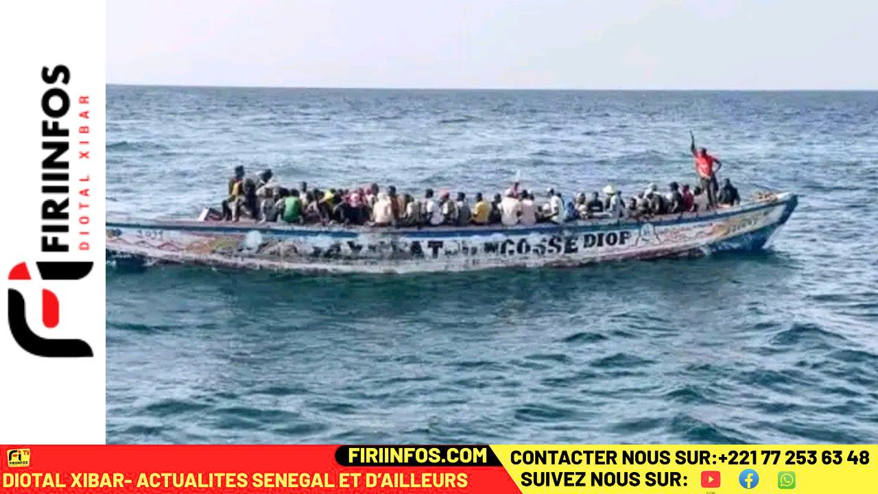 Bignona : 42 candidats à la migration clandestine interceptés à Niafrang